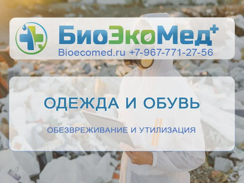 Одежда и обувь